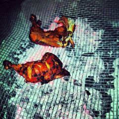 A picture of Tandoori Chicken (grilled).