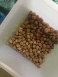 Kacang atom gurih, manis anti gagal