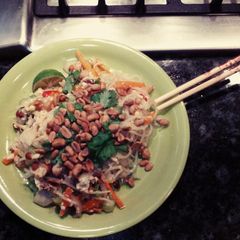 A picture of Vegetarian Pad Thai.