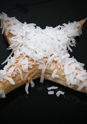 A picture of Snow Flake For Little Addie Fausett.