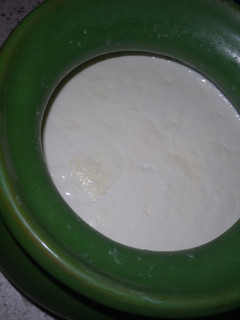 عکسی از دستور ماست خانگی