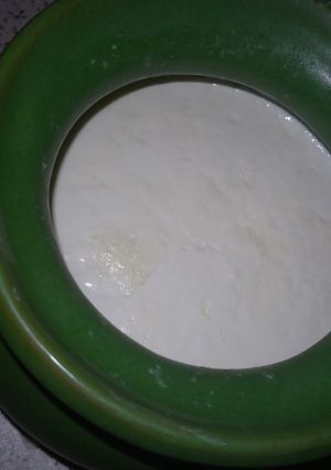 عکسی از دستور ماست خانگی