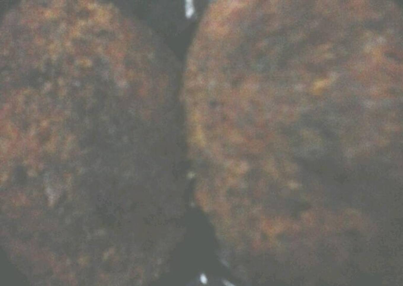 Plaintain Cutlet