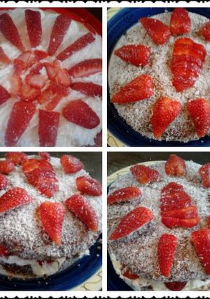 A picture of Australian Lamingtons !!.