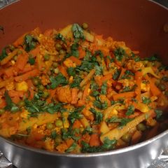 A picture of Mix Veg.