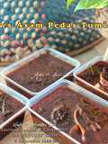 Pes Asam Pedas Tumis