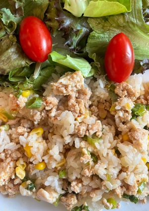 A picture of Mabo-Tofu with corn rice.