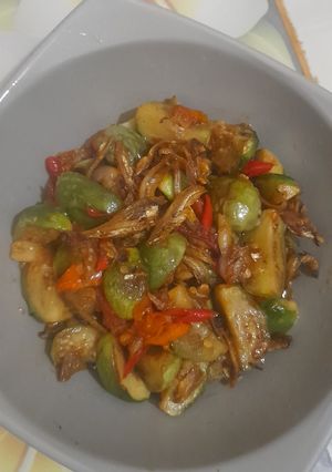 Foto resep Terong batik/terong bulat tumis teri