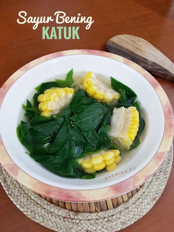Cara Sederhana Menyiapkan Resep  Sayur Bening Katuk yang Enak, Bisa Manjain Lidah