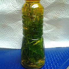 A picture of Dill infused oil.