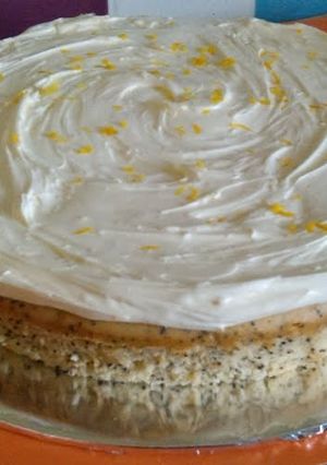 A picture of Vickys Orange Poppy Seed Cake, GF DF EF SF NF.