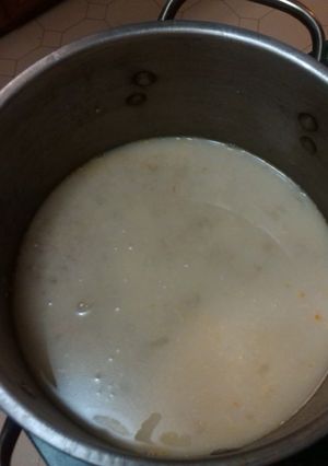 A picture of Salmon stew.