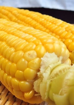 A picture of How to Boil Corn on the Cob.