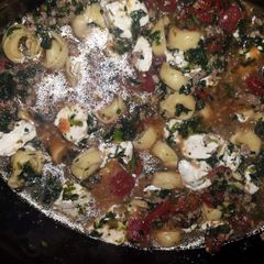 A picture of Totally Tortellini!.