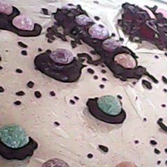 A picture of chocolate sweets.