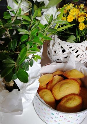 Une photo de Madeleines