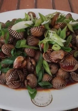 Foto resep Kerang saos padang seger
