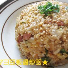 A picture of Spicy Doubanjiang Mayo Fried Rice.