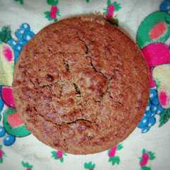 A picture of Queque de jengibre con harina de avena y chancaca.