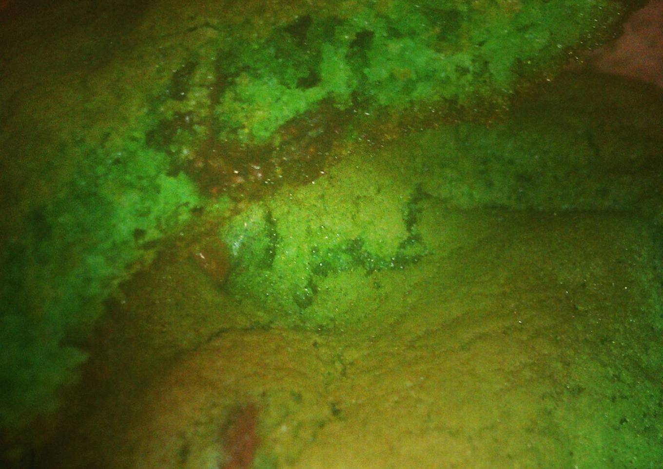 GREEN Mint Chocolate Chip Cookies