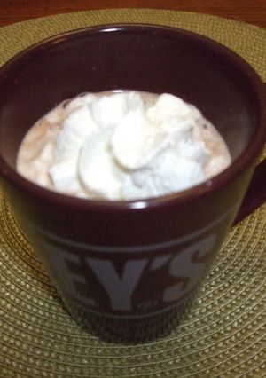 A picture of Delicious Hot Chocolate in the Microwave.