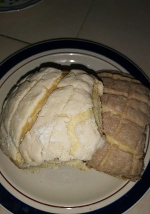 Una foto de Conchas