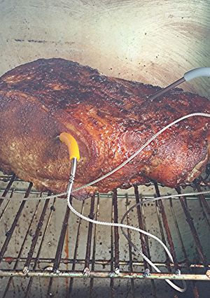 A picture of Pulled pork.