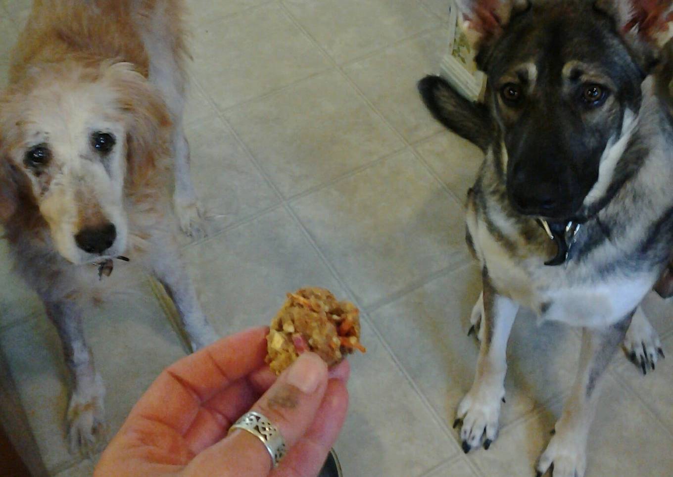 Sammie's Carrot, Apple and Peanut Butter Doggie Treats