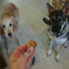 A picture of Sammie's Carrot, Apple and Peanut Butter Doggie Treats.
