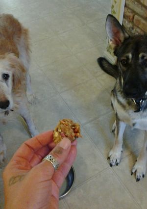 A picture of Sammie's Carrot, Apple and Peanut Butter Doggie Treats.