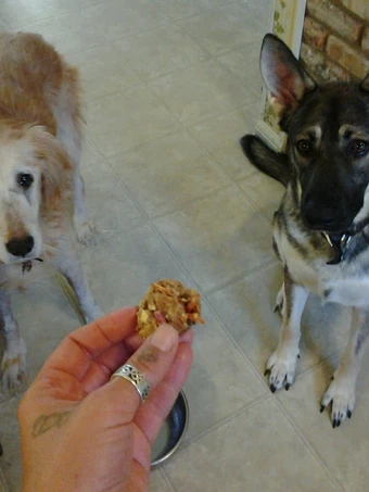 Easy Way Prepare Sammie&#39;s Carrot, Apple and Peanut Butter Doggie Treats the So Delicious Appealing