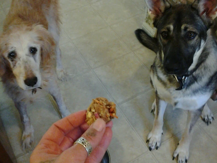 Easy Way Prepare Sammie&amp;#39;s Carrot, Apple and Peanut Butter Doggie Treats the So Delicious Appealing