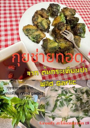 รูปของ 🥬กุยช่ายทอด จากต้นกระเทียมป่า + น้ำจิ้มรสเด็ด Wild Garlic พืชสมุนไพรในต่างแดน 🇩🇰