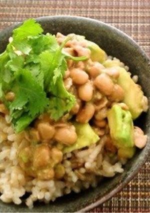 A picture of For Natto Lovers Outside Japan! Home-Made Natto in an Oven!.