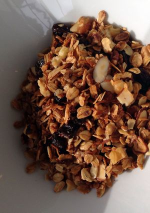 A picture of Toasty Coconut Granola.