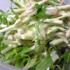 A picture of Mizuna and Tuna Salad.