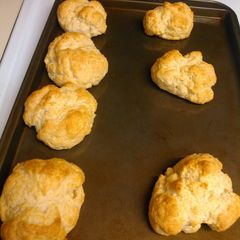 A picture of Biscuits.