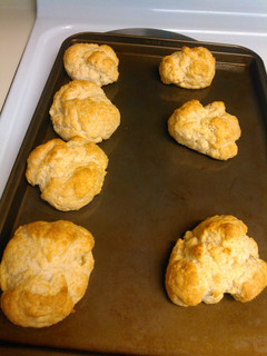A picture of Biscuits.