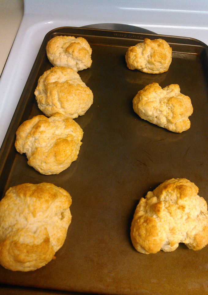 A picture of Biscuits.