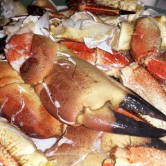 A picture of Crab Claws.