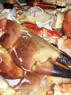 A picture of Crab Claws.