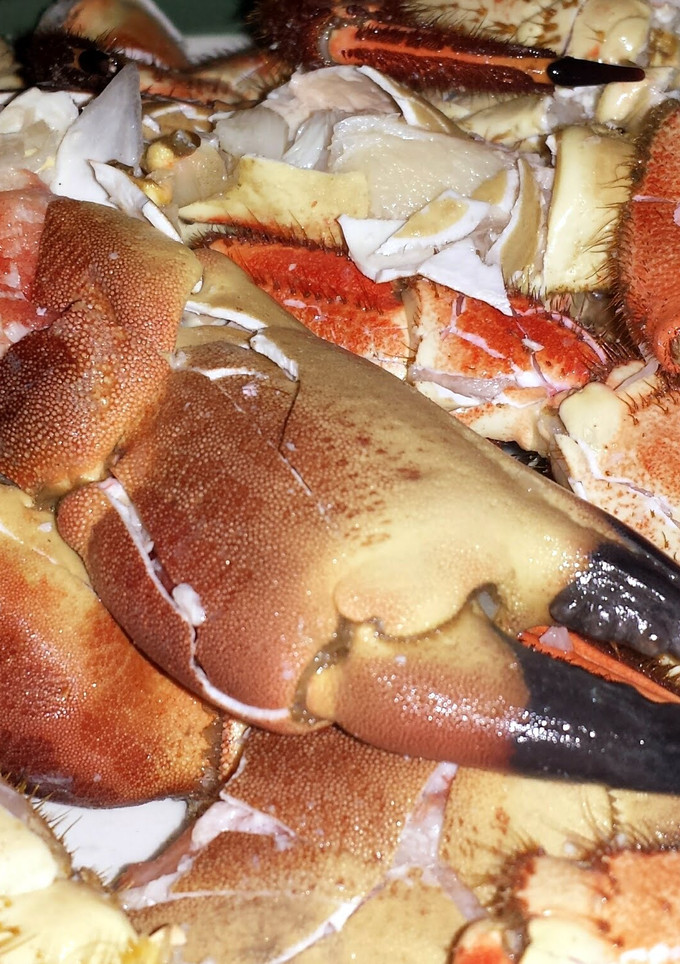 A picture of Crab Claws.
