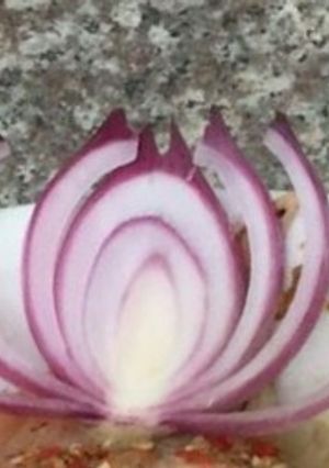 Hình của món TỈA BÔNG SEN BẰNG HÀNH TÂY.