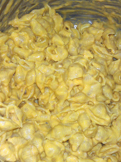 A picture of shells and cheese with tuna.