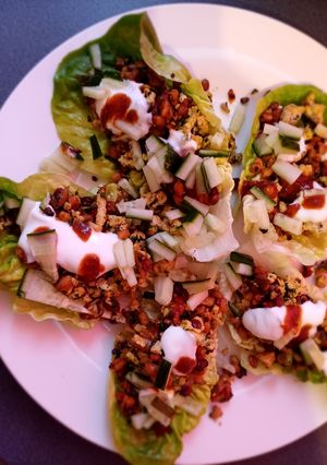 A picture of Piri Piri Turkey Lettuce Tacos 🌮.