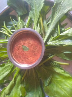 પાલક સુપ (Spinach Soup Recipe In Gujarati) રેસીપી મુખ્ય ફોટો
