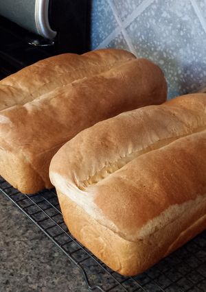 A picture of White bread.