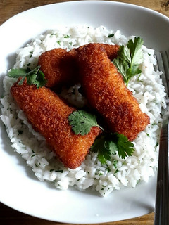A picture of Lemon Fish on Rice.