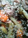 sandra's easy lunch salad