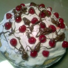A picture of Bananna Split Pie.